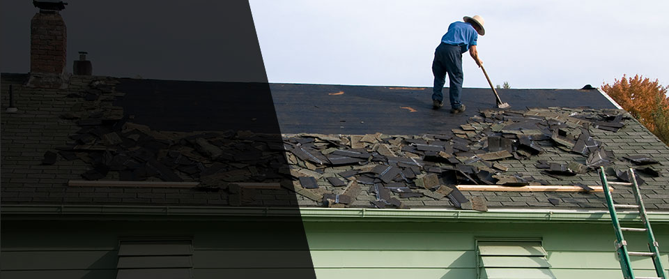 Castanea Roofing Contractors